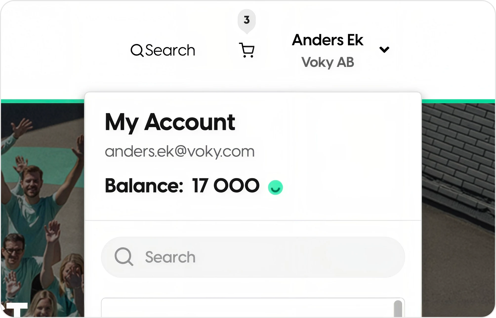 Kontopanelen i en webbshop d&auml;r anv&auml;ndarens tillg&auml;ngliga saldo visas.